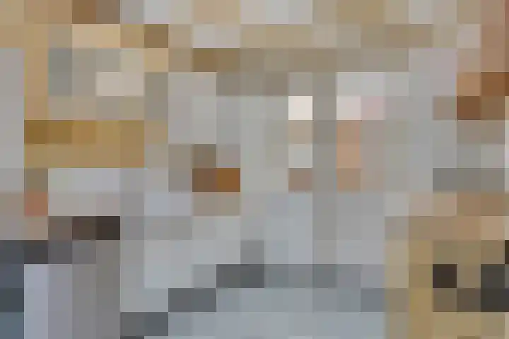 Molenweg 8 Maartensdijk thumbnail 12
