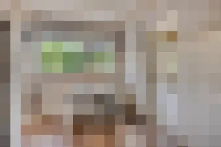 Molenweg 8 Maartensdijk thumbnail 14