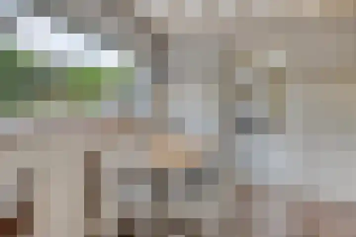 Molenweg 8 Maartensdijk thumbnail 15