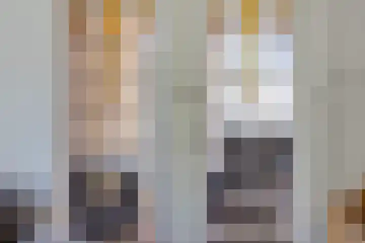 Molenweg 8 Maartensdijk thumbnail 21