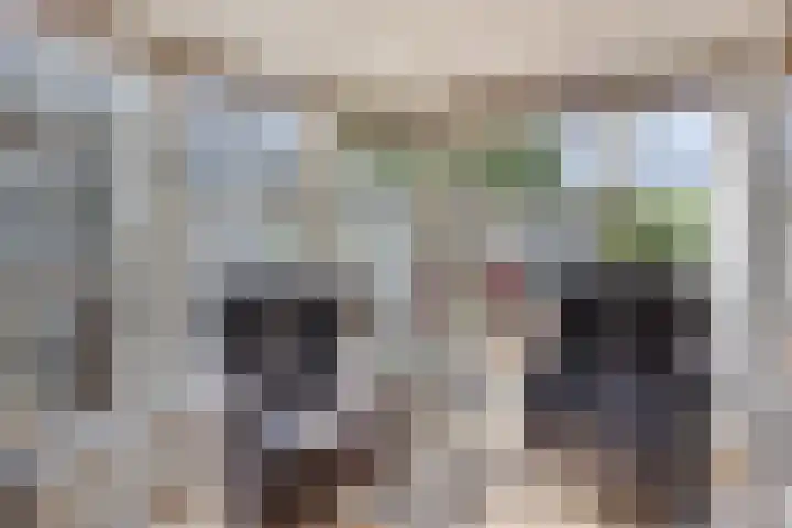 Molenweg 8 Maartensdijk thumbnail 23
