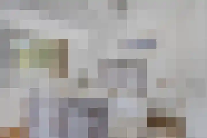 Molenweg 8 Maartensdijk thumbnail 26