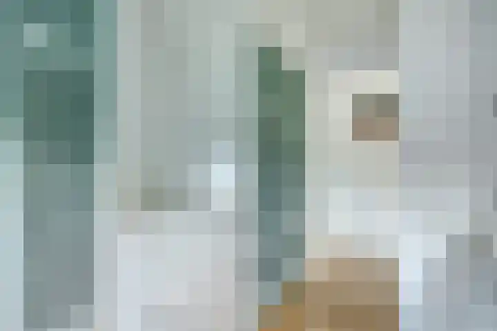 Molenweg 8 Maartensdijk thumbnail 34