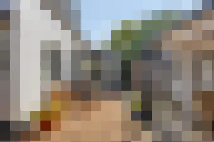 Molenweg 8 Maartensdijk thumbnail 36