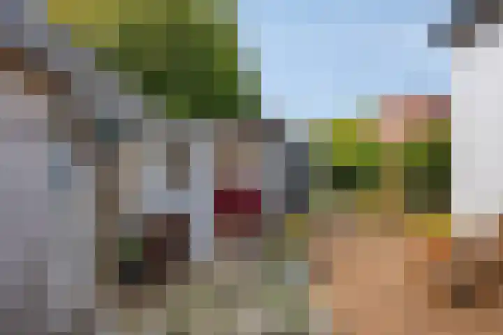 Molenweg 8 Maartensdijk thumbnail 37