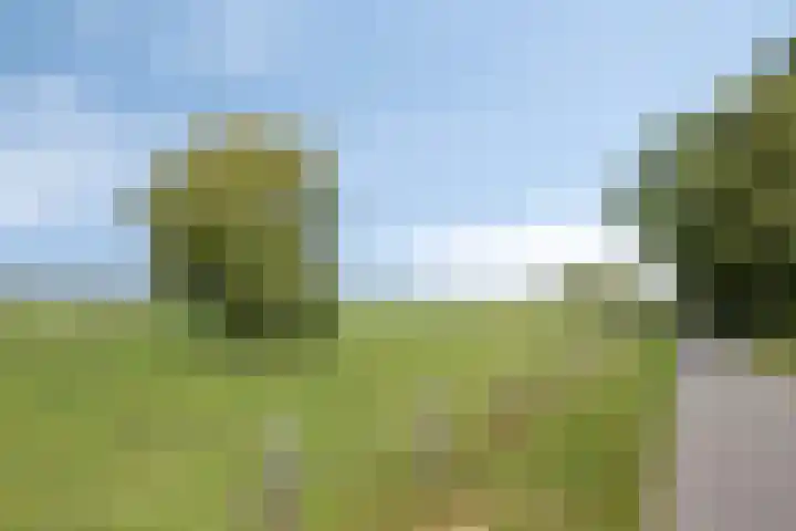 Molenweg 8 Maartensdijk thumbnail 39
