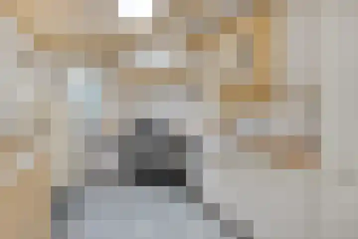 Molenweg 8 Maartensdijk thumbnail 4