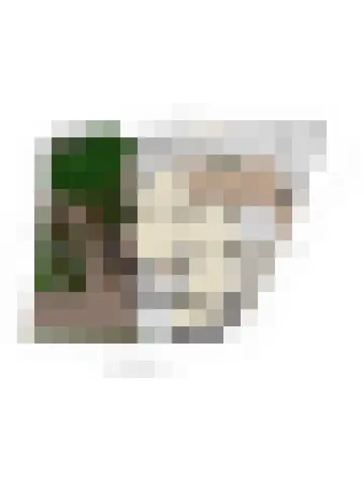Molenweg 8 Maartensdijk thumbnail 41