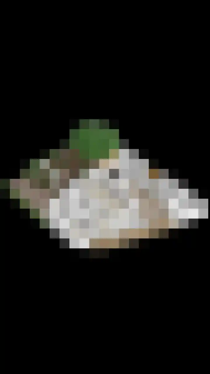 Molenweg 8 Maartensdijk thumbnail 46