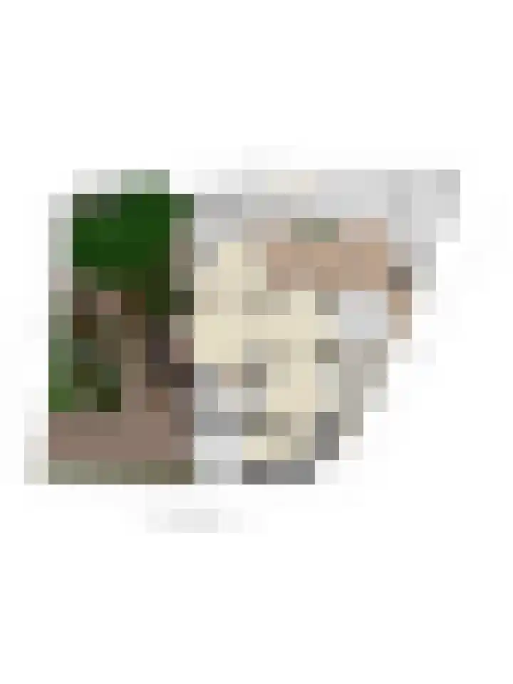 Molenweg 8 Maartensdijk thumbnail 47