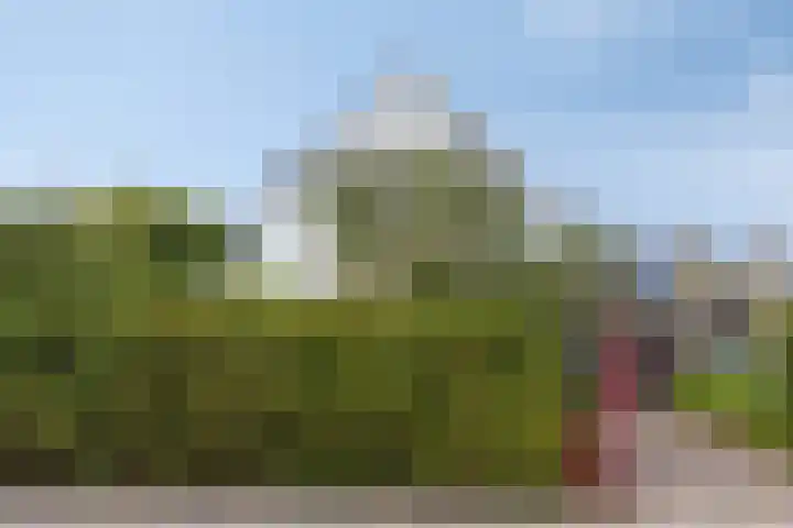 Molenweg 8 Maartensdijk thumbnail 5