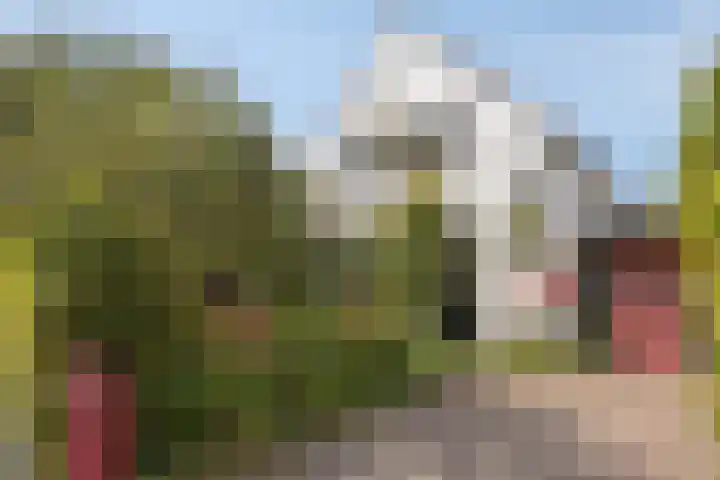 Molenweg 8 Maartensdijk thumbnail 6
