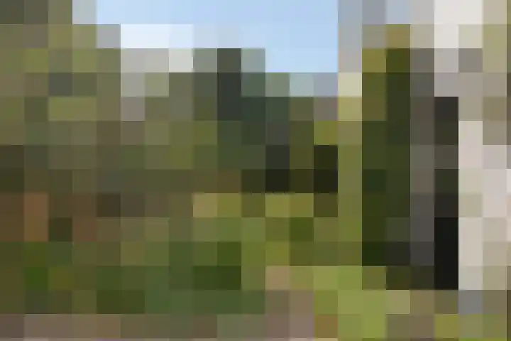 Molenweg 8 Maartensdijk thumbnail 7