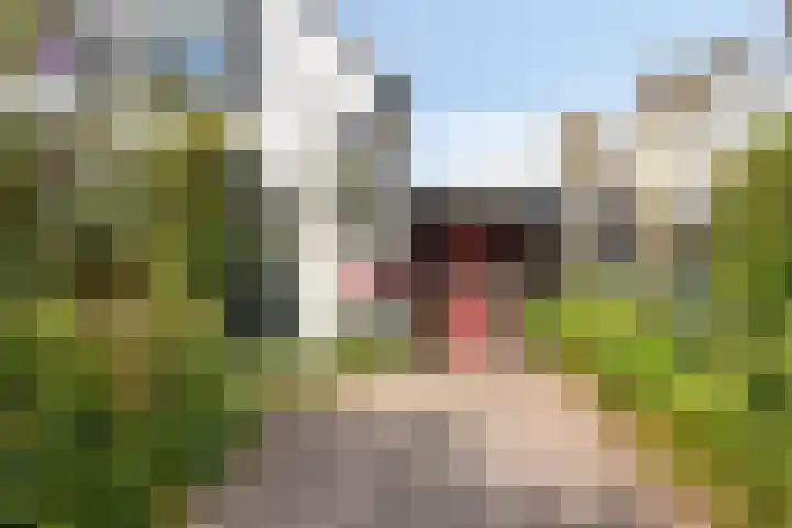 Molenweg 8 Maartensdijk thumbnail 8