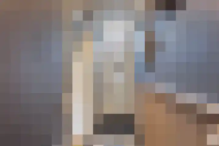 Molenweg 8 Scherpenisse thumbnail 10