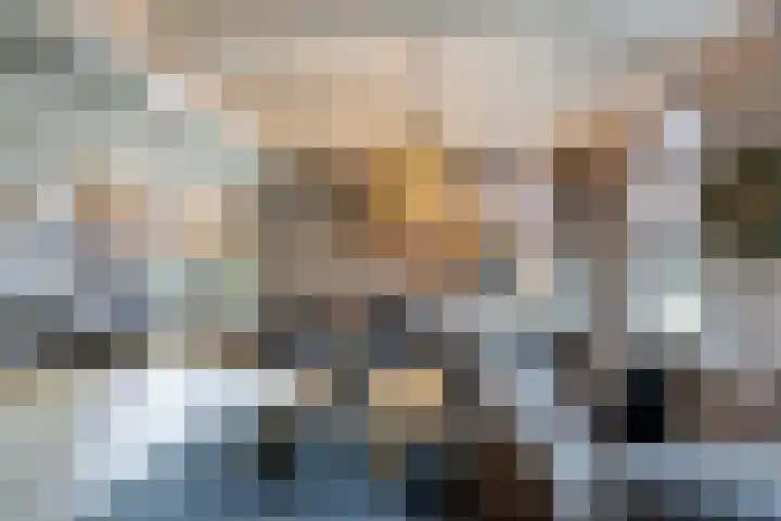Molenweg 8 Scherpenisse thumbnail 12