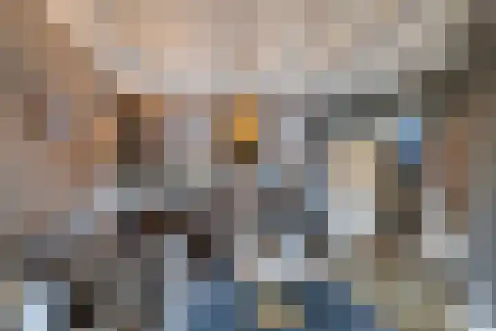Molenweg 8 Scherpenisse thumbnail 13
