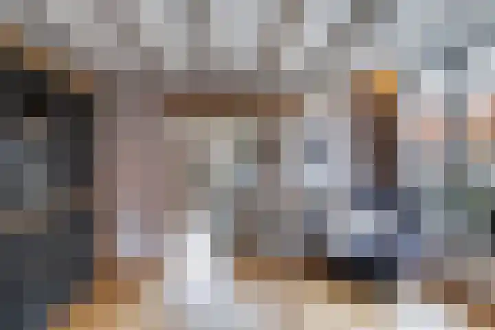 Molenweg 8 Scherpenisse thumbnail 14