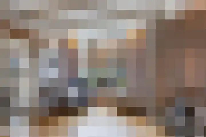 Molenweg 8 Scherpenisse thumbnail 15