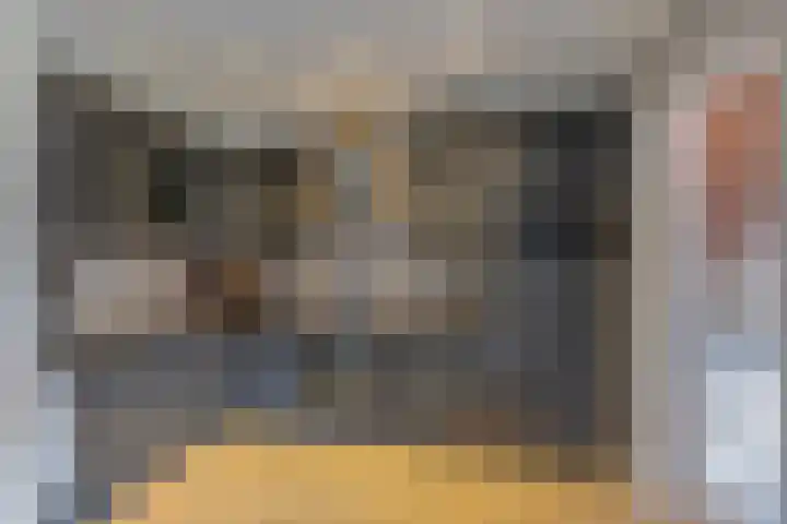 Molenweg 8 Scherpenisse thumbnail 16