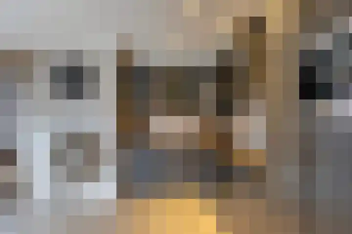Molenweg 8 Scherpenisse thumbnail 17