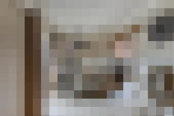 Molenweg 8 Scherpenisse thumbnail 18