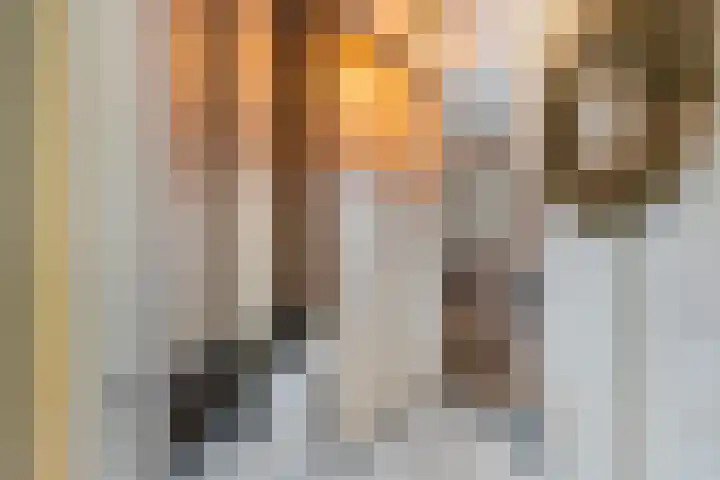 Molenweg 8 Scherpenisse thumbnail 19