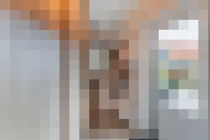 Molenweg 8 Scherpenisse thumbnail 20