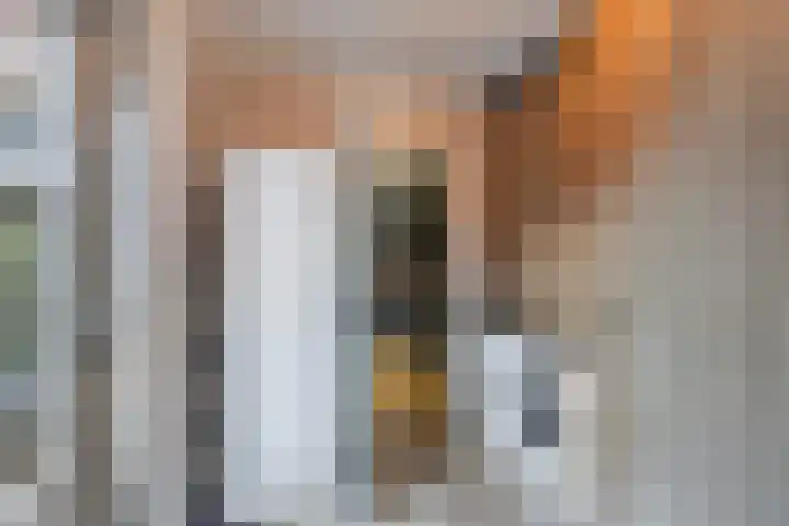 Molenweg 8 Scherpenisse thumbnail 21