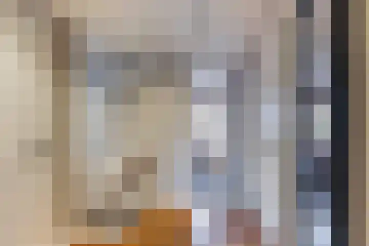 Molenweg 8 Scherpenisse thumbnail 23