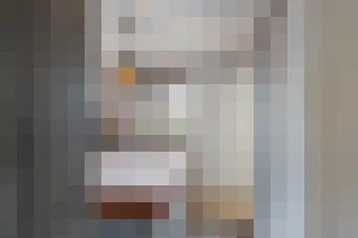 Molenweg 8 Scherpenisse thumbnail 24
