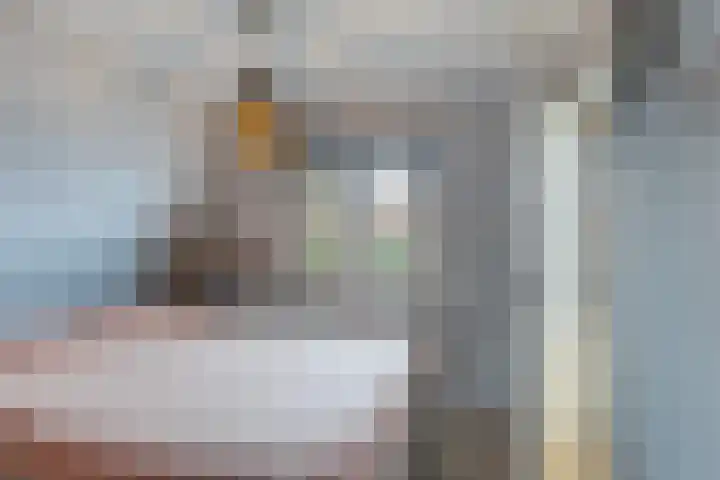 Molenweg 8 Scherpenisse thumbnail 25