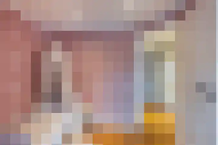 Molenweg 8 Scherpenisse thumbnail 31