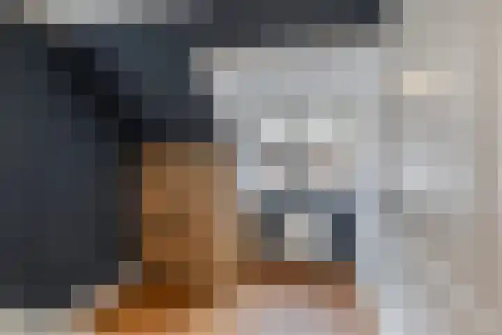 Molenweg 8 Scherpenisse thumbnail 32
