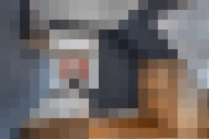 Molenweg 8 Scherpenisse thumbnail 33