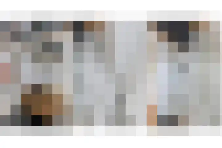 Molenweg 8 Scherpenisse thumbnail 35