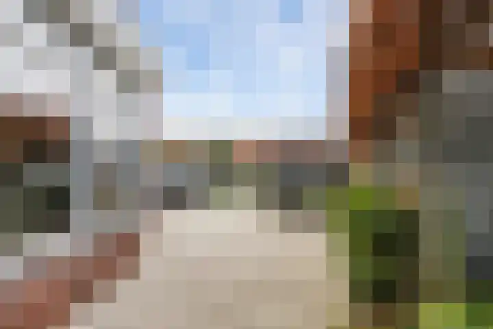 Molenweg 8 Scherpenisse thumbnail 36