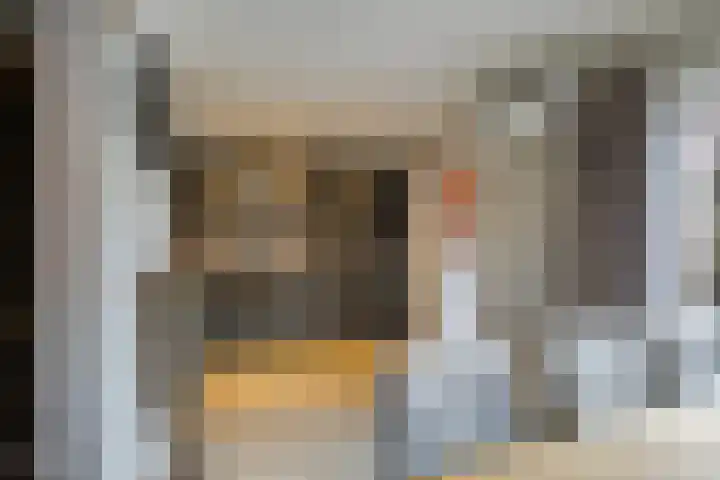 Molenweg 8 Scherpenisse thumbnail 4