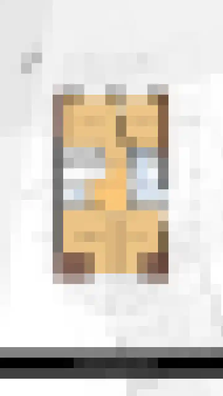 Molenweg 8 Scherpenisse thumbnail 43