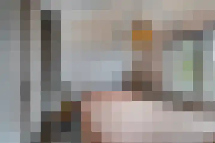 Molenweg 8 Scherpenisse thumbnail 5