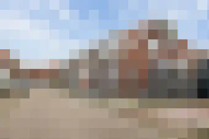 Molenweg 8 Scherpenisse thumbnail 6