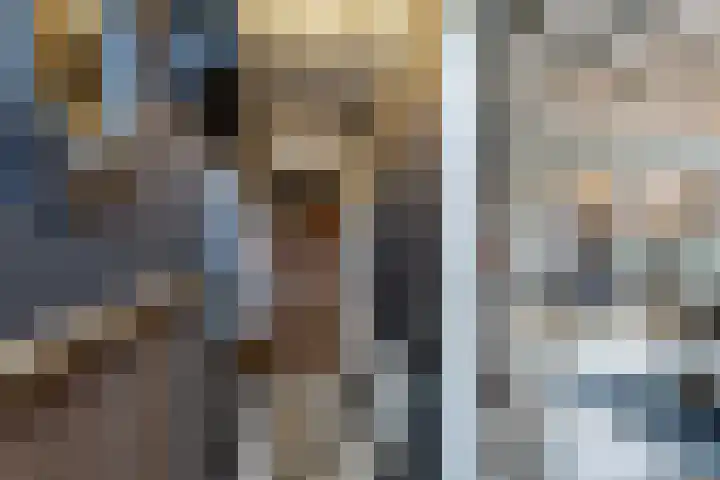 Molenweg 8 Scherpenisse thumbnail 9