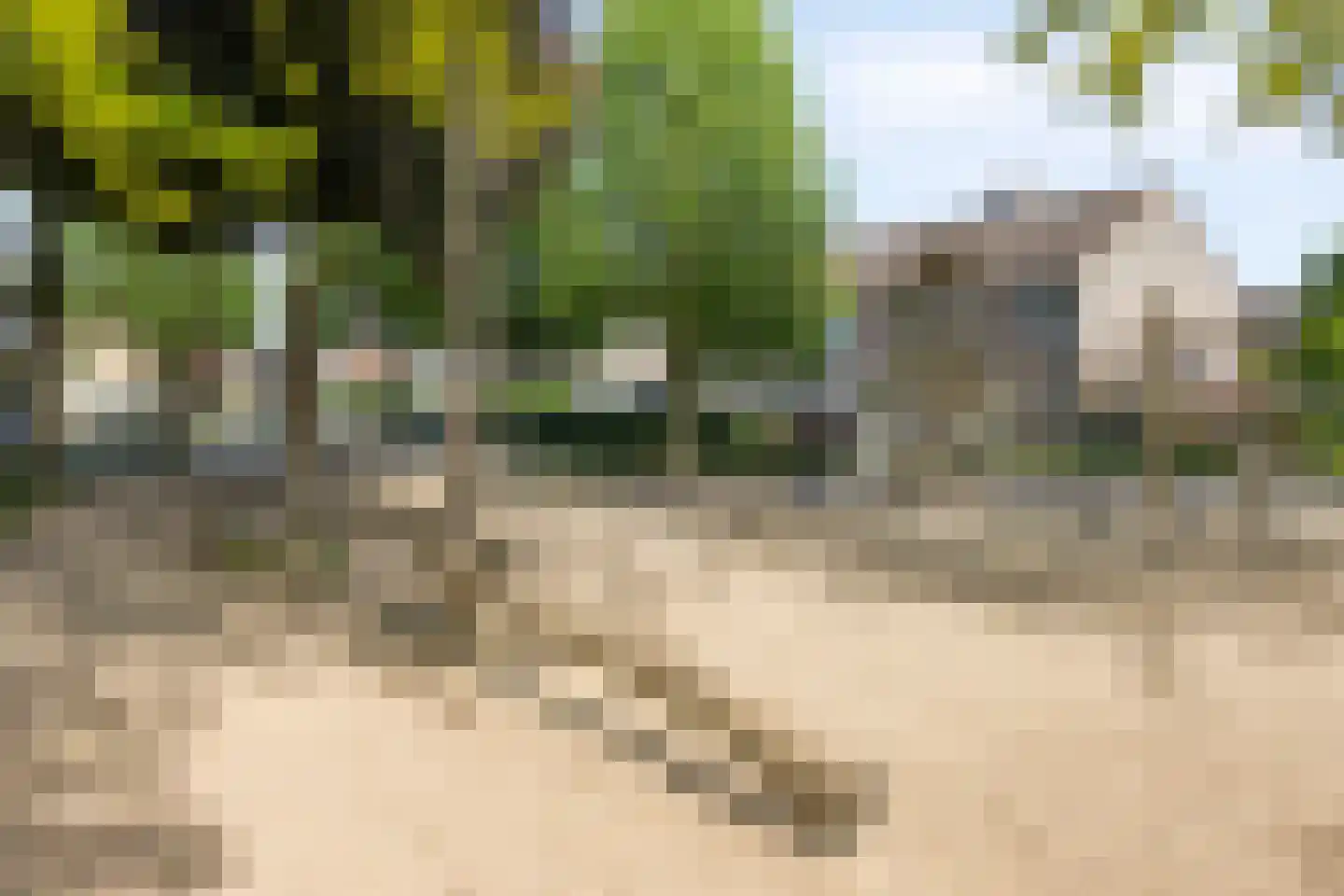 Molenweg 8 Swalmen thumbnail 41
