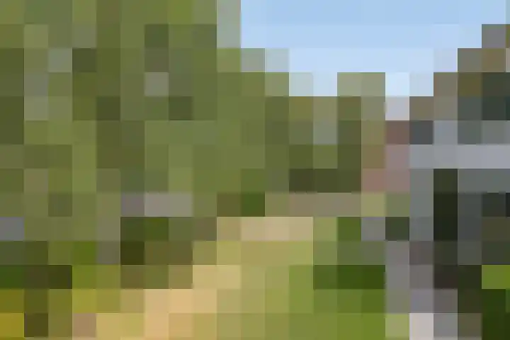 Molenweg 81 Arnemuiden thumbnail 10