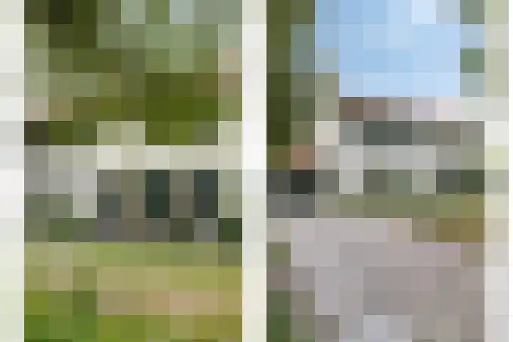 Molenweg 81 Arnemuiden thumbnail 11