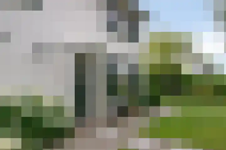 Molenweg 81 Arnemuiden thumbnail 13