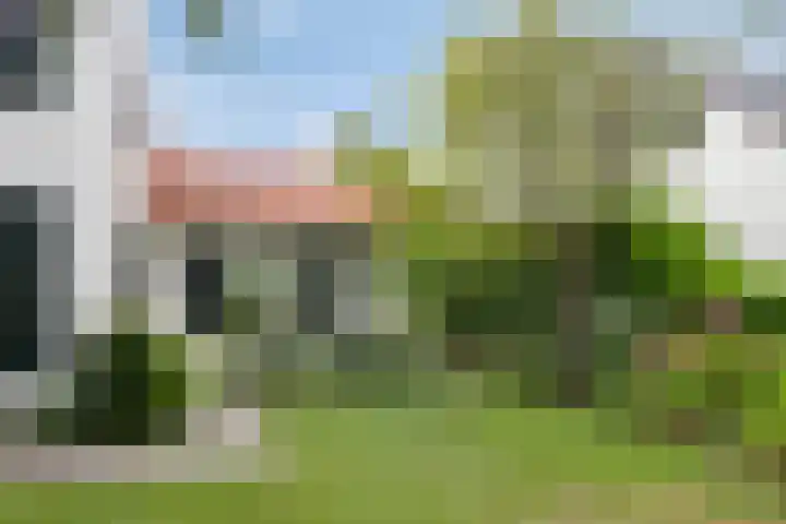 Molenweg 81 Arnemuiden thumbnail 14
