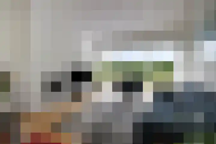 Molenweg 81 Arnemuiden thumbnail 17