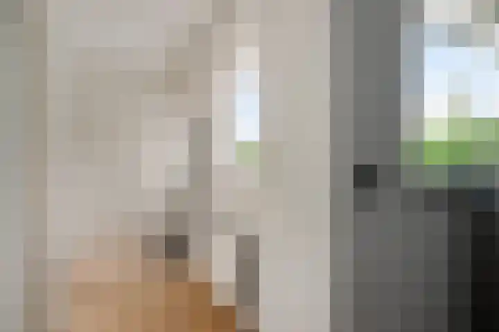 Molenweg 81 Arnemuiden thumbnail 34