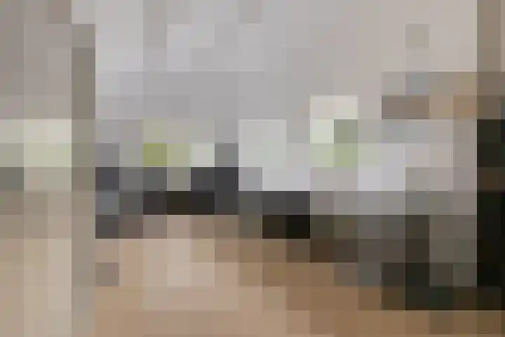 Molenweg 81 Arnemuiden thumbnail 37